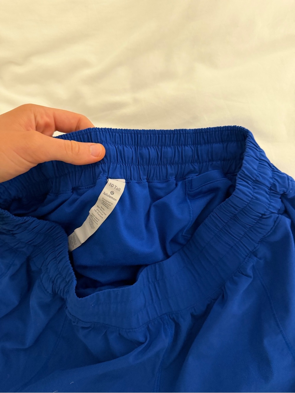 Royal Blue Size 10 Tall Hotty Hot Shorts